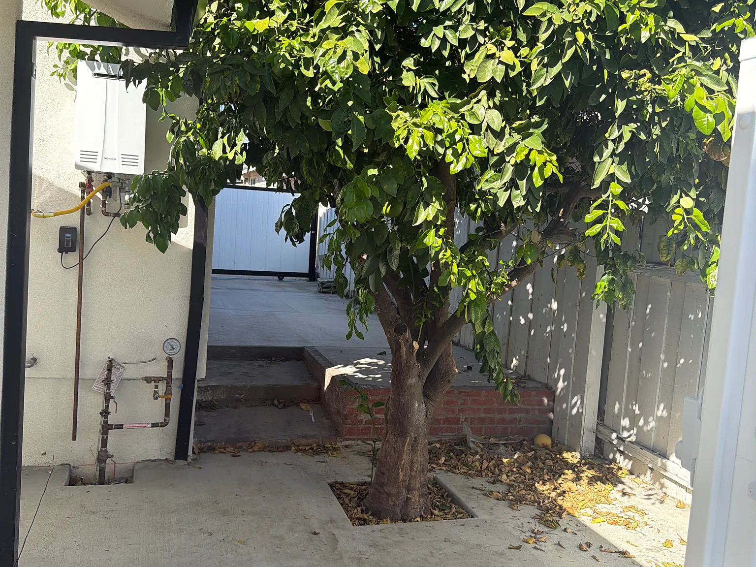 1 bed, 640 sqft, $2,625 — Photo 2