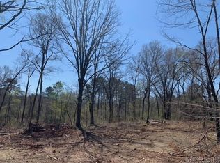 TRACT 1 Highway 11395 #84, Bismarck, AR 71929