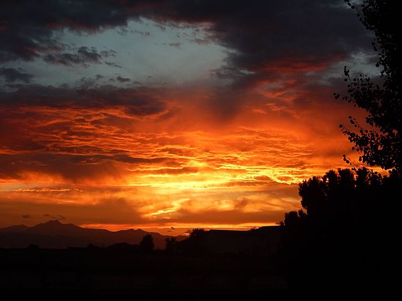 Facing northwest, backyard.