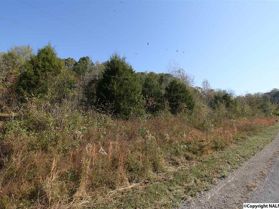 2nd image of 458 Kelly Creek Rd