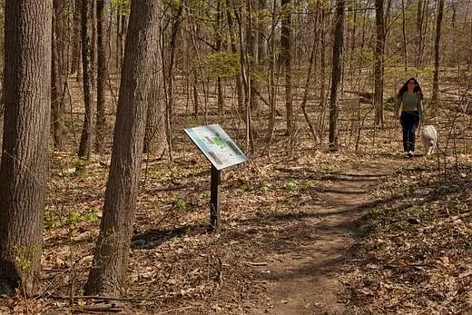 The Woods at Latimer — Photo 32