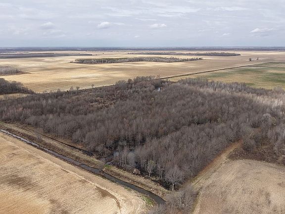 Dji 20260225110047 0225 D