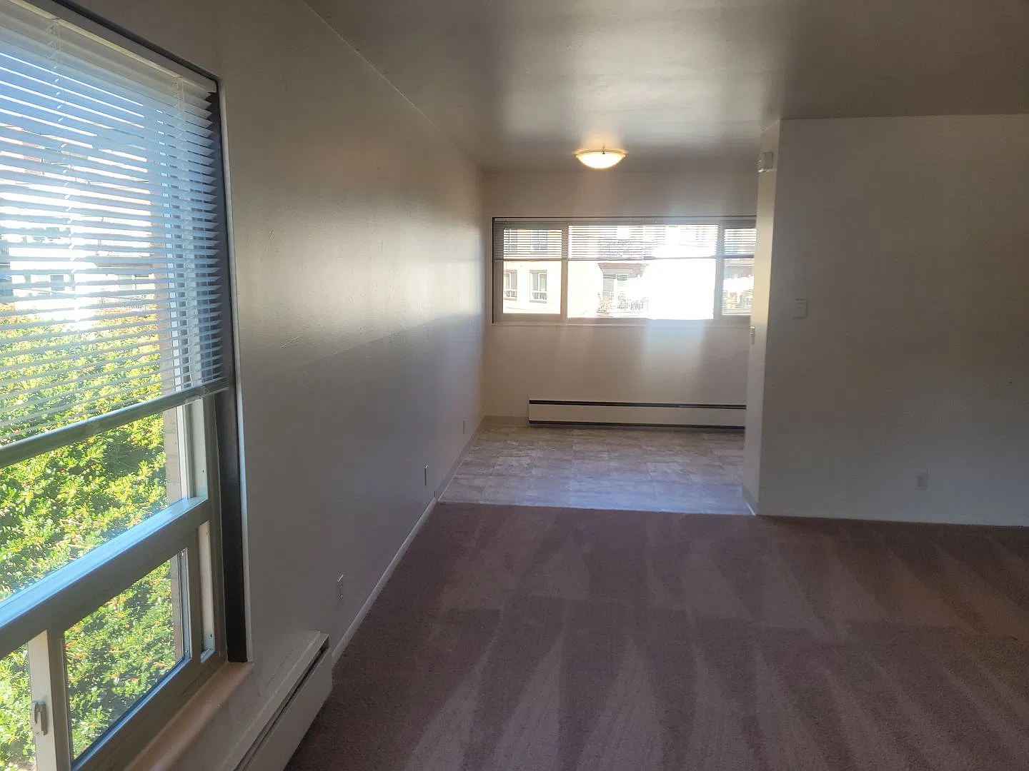 Spring Apartments — Photo 4