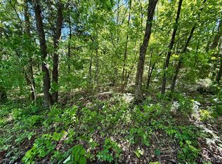 0 Cyclone Rd, Cadet, MO 63630