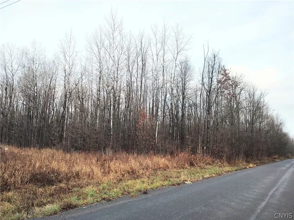 Stephens Rd #44, Canastota, NY 13032