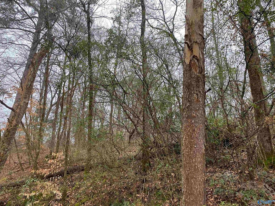 1st image of 1 Bud Weaver Rd