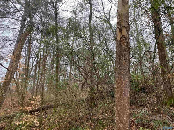 1 Bud Weaver Rd, Hartselle, AL 35640