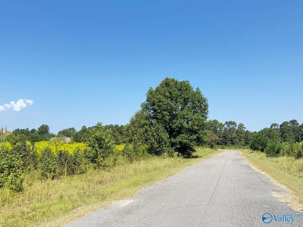 LOT County Road 487, Moulton, AL 35650