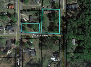 201 Hoke Smith Ave, Ideal, GA 31041