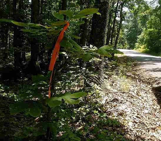1st image of 0 Spruce Dr Lot 143