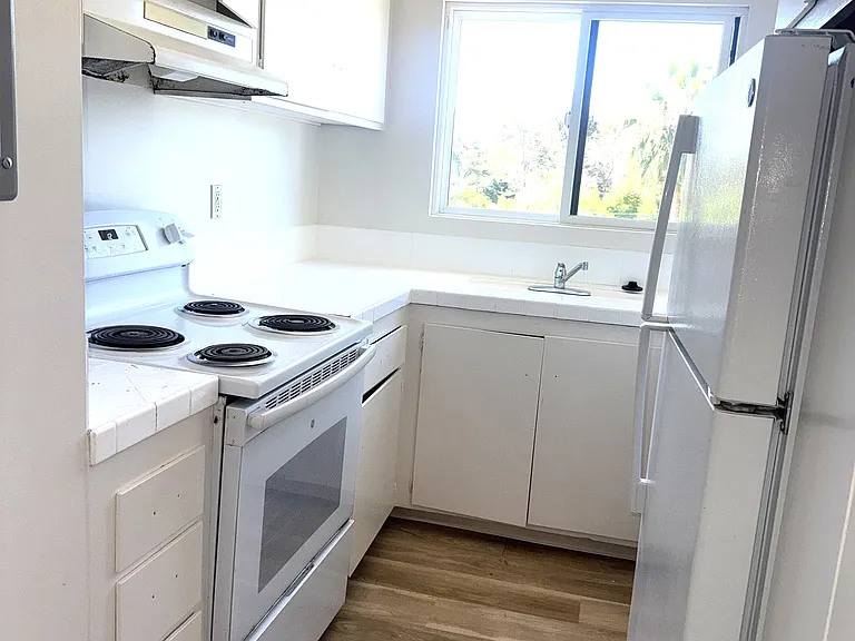 115 Bodega Ln #19 — Photo 3