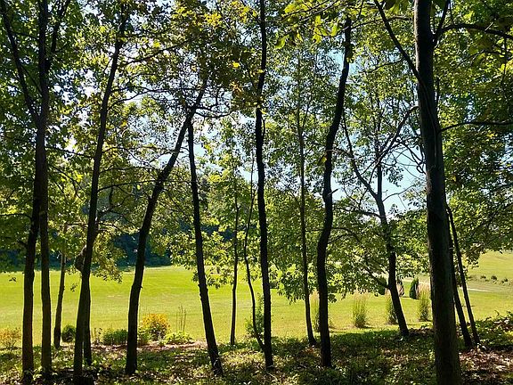 5th image of W3049 Delmore Road Lot 3