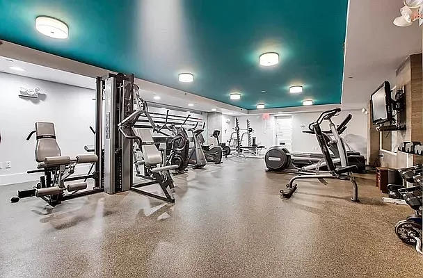 Rented by Carnegie Management Inc | media 12