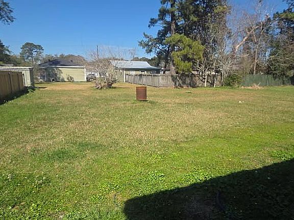 Back yard