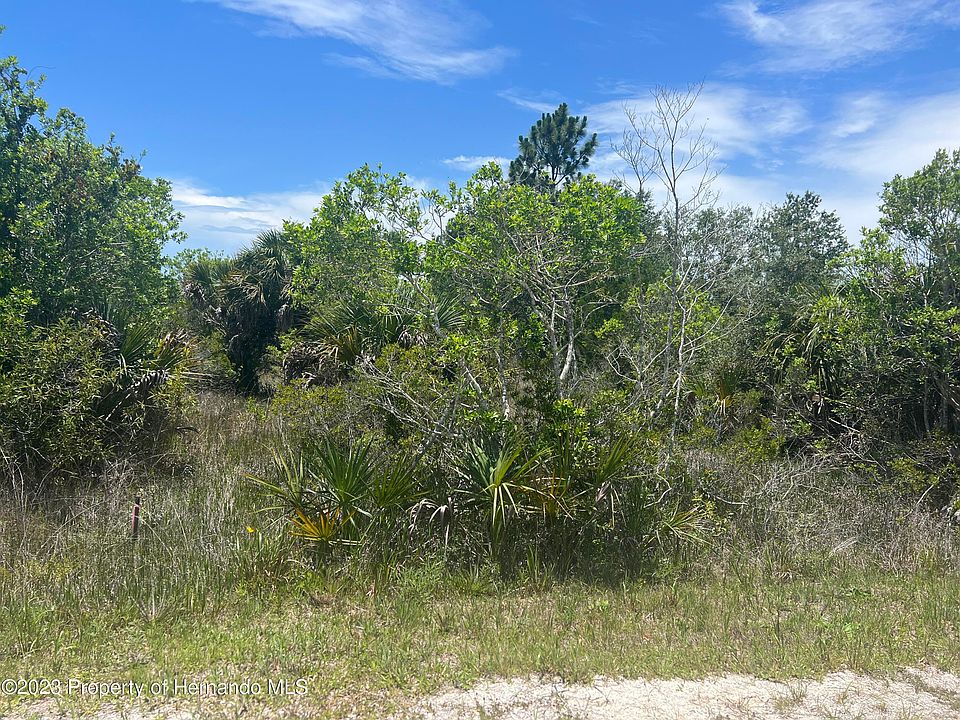 2nd image of LOT 11 Quiet Rd