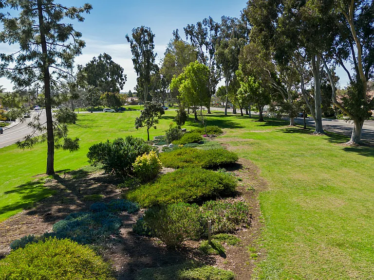 Shady Tree Ln — Photo 3