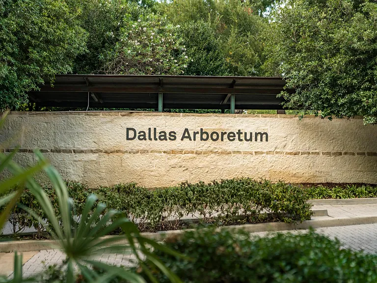 Immerse yourself in breathtaking beauty at the Dallas Arboretum, a true Texas gem.