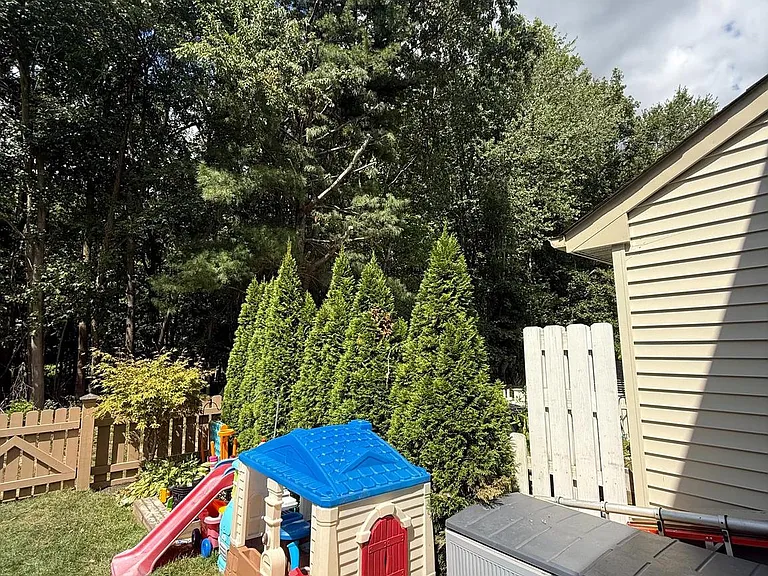 10 Devon Ct — Photo 43