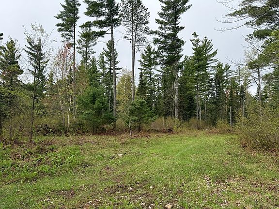 5th image of On Bearskull Rd