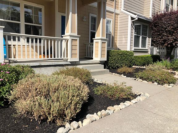 maintenance free front yard on drip system