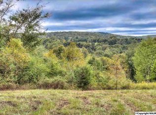 1237 Hurricane Rd, New Market, AL 35761