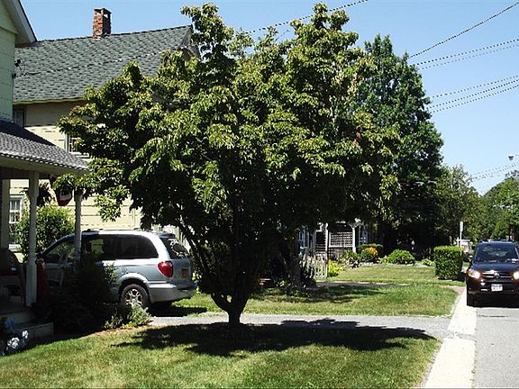 5th image of 22 Cedar St