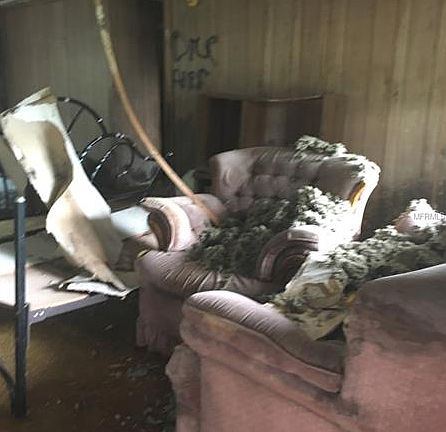 3rd image of 5113 Marc Dr