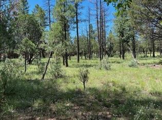 5931 Wolf Den Ct, Happy Jack, AZ 86024