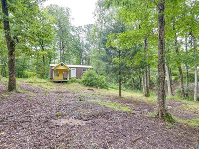 219 County Road 221, Arley, AL, 35541