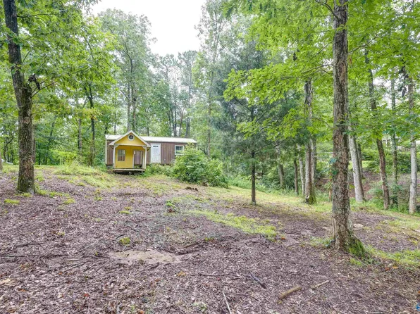 219 County Road 221, Arley, AL 35541