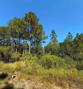 7924 Parker Rd, Milton, FL, 32570