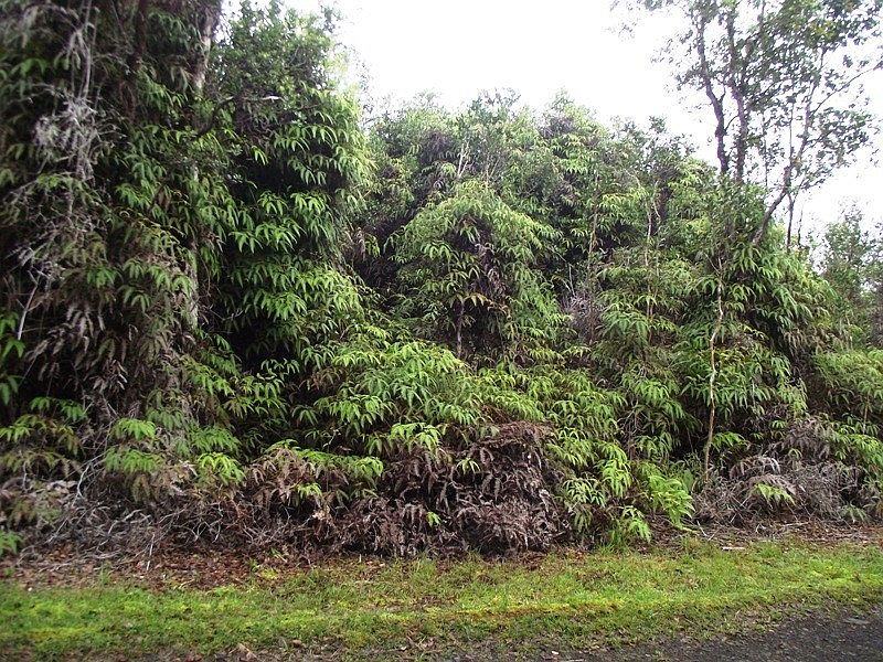 1st image of Kalakau St Lot 487