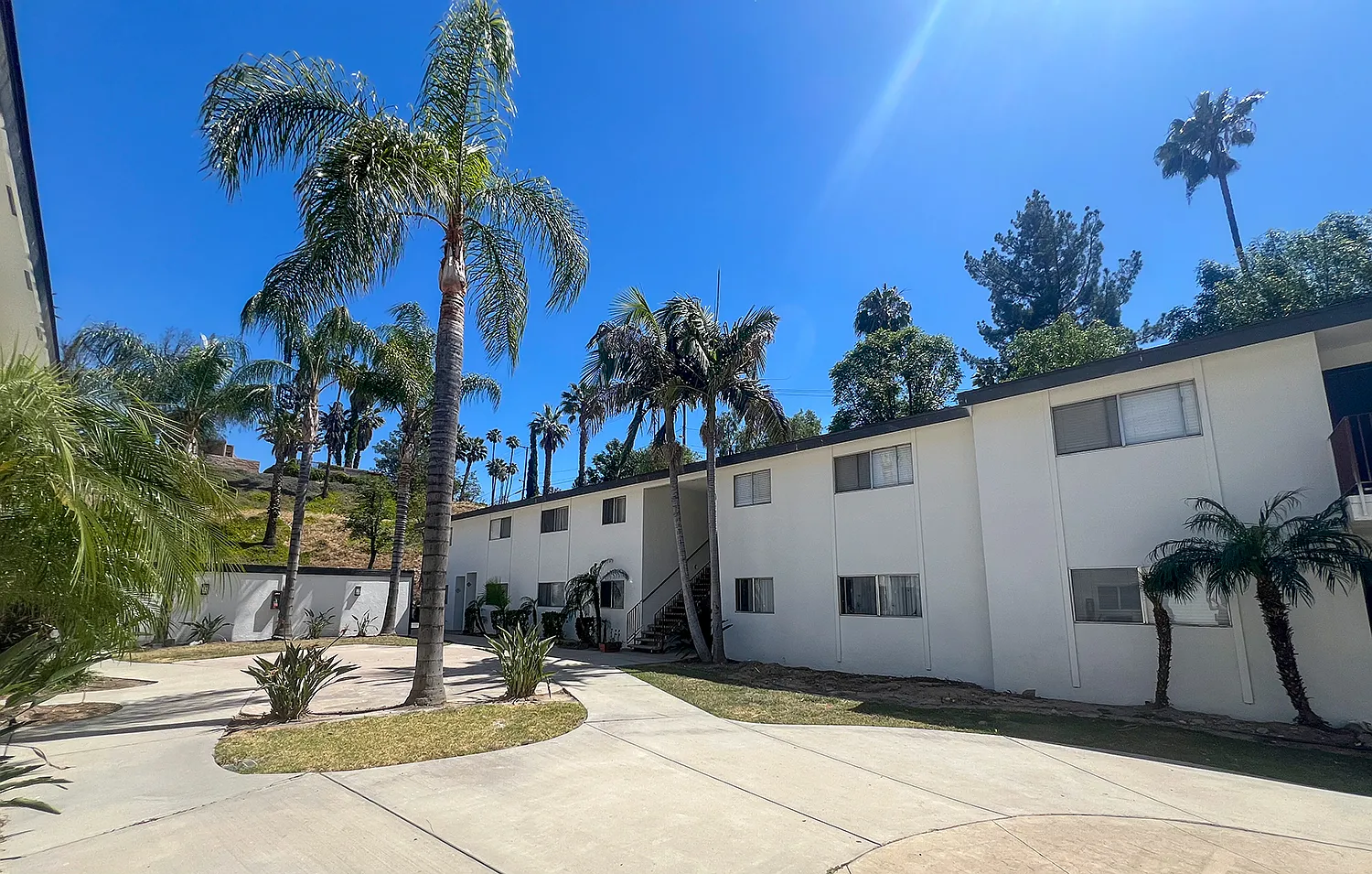 Palm Vista Apartments — Photo 3