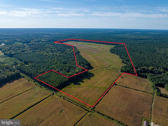 3rd image of 0 Greenbriar Swamp Rd