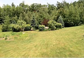 5th image of 36 Rosegate Farm Dr