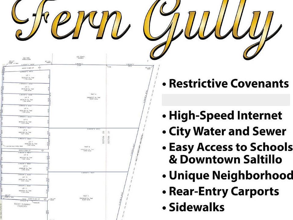 2nd image of Fern Gully Lot 2