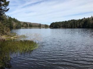 304 Beaverkill Rd, Lew Beach, NY 12758