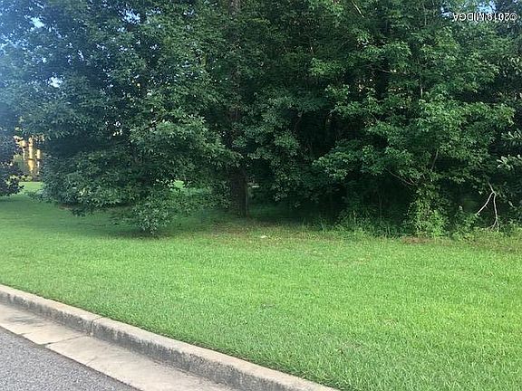 5th image of 117 N Haven Dr