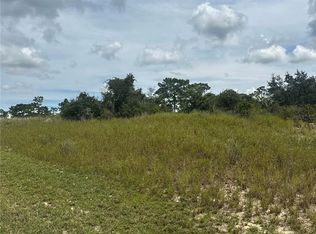 1348 Homosassa Ct Lot 1, Kissimmee, FL 34759