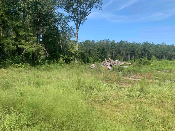 4048 E Whelen Rd, Gurdon, AR 71743