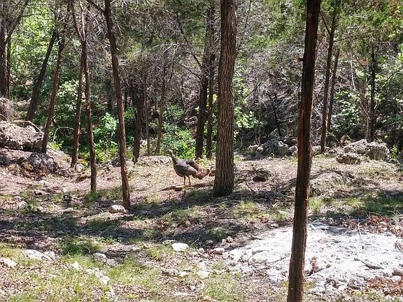 4th image of 752 Live Oak Canyon