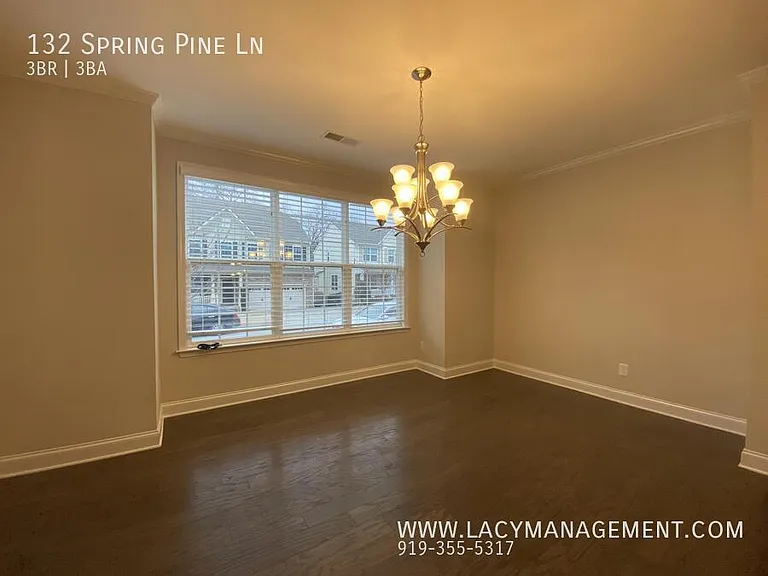 132 Spring Pine Ln — Photo 9