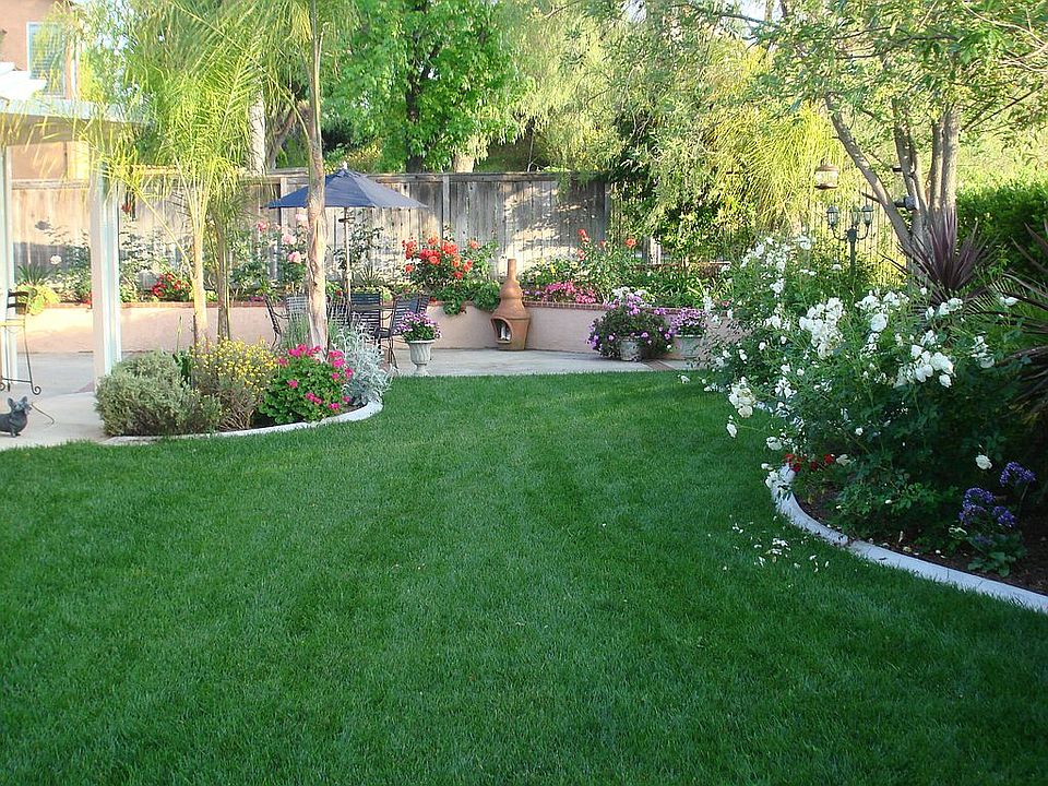 Back garden
