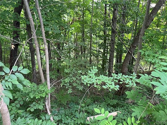 4th image of 0 State Route 3 Lot 27