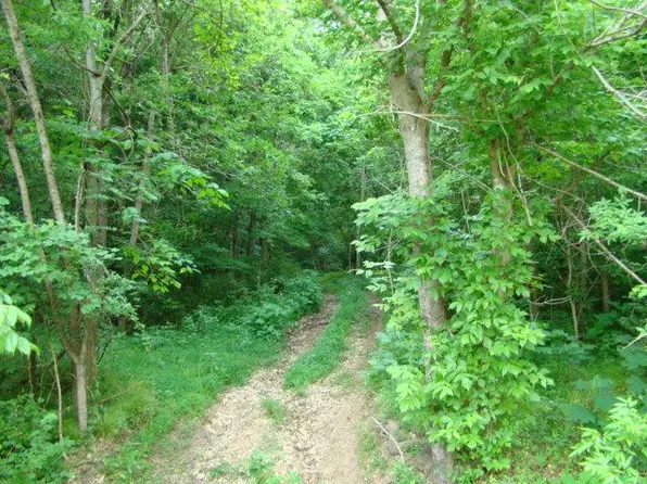 8326 W Sheepneck Rd #W, Mount Pleasant, TN 38474