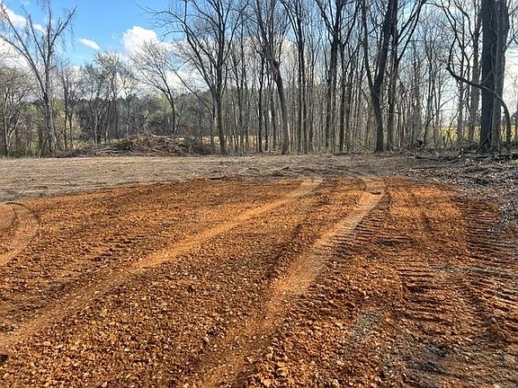 4th image of LOT 1 Brammer Rd