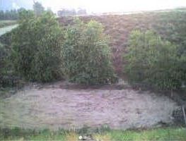 Arena