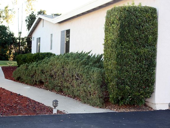 Sidewalk to front entrance