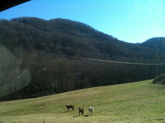 3rd image of 495 Little Pine Trl
