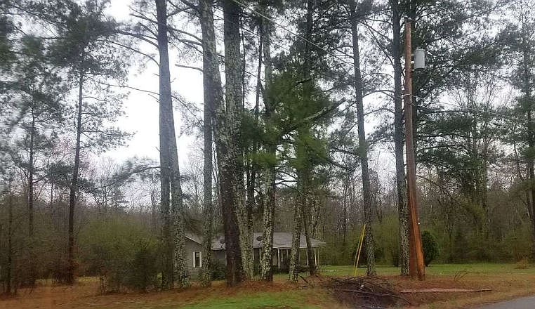 2nd image of 1081 Bronco Rd